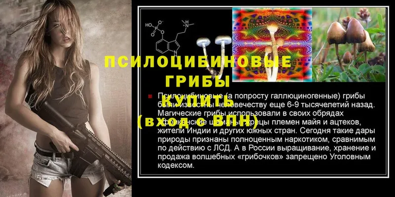 hydra зеркало  Абдулино  Псилоцибиновые грибы Magic Shrooms 